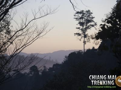 Photos from our guests | Chiang Mai Trekking | The best trekking in Chiang Mai with Piroon Nantaya
